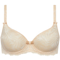 351702_bisquit 351702_bisquit