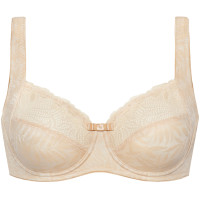 351718_bisquit 351718_bisquit