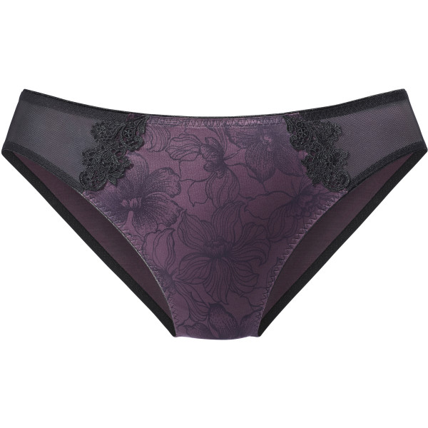 351420_aubergine